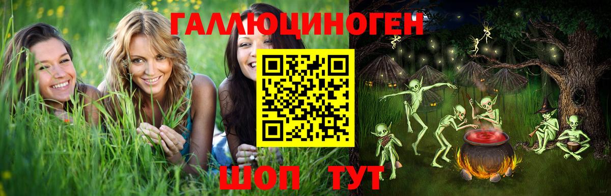 Котовск  Псилоцибиновые грибы Magic Shrooms  сколько стоит  Вход с VPN 